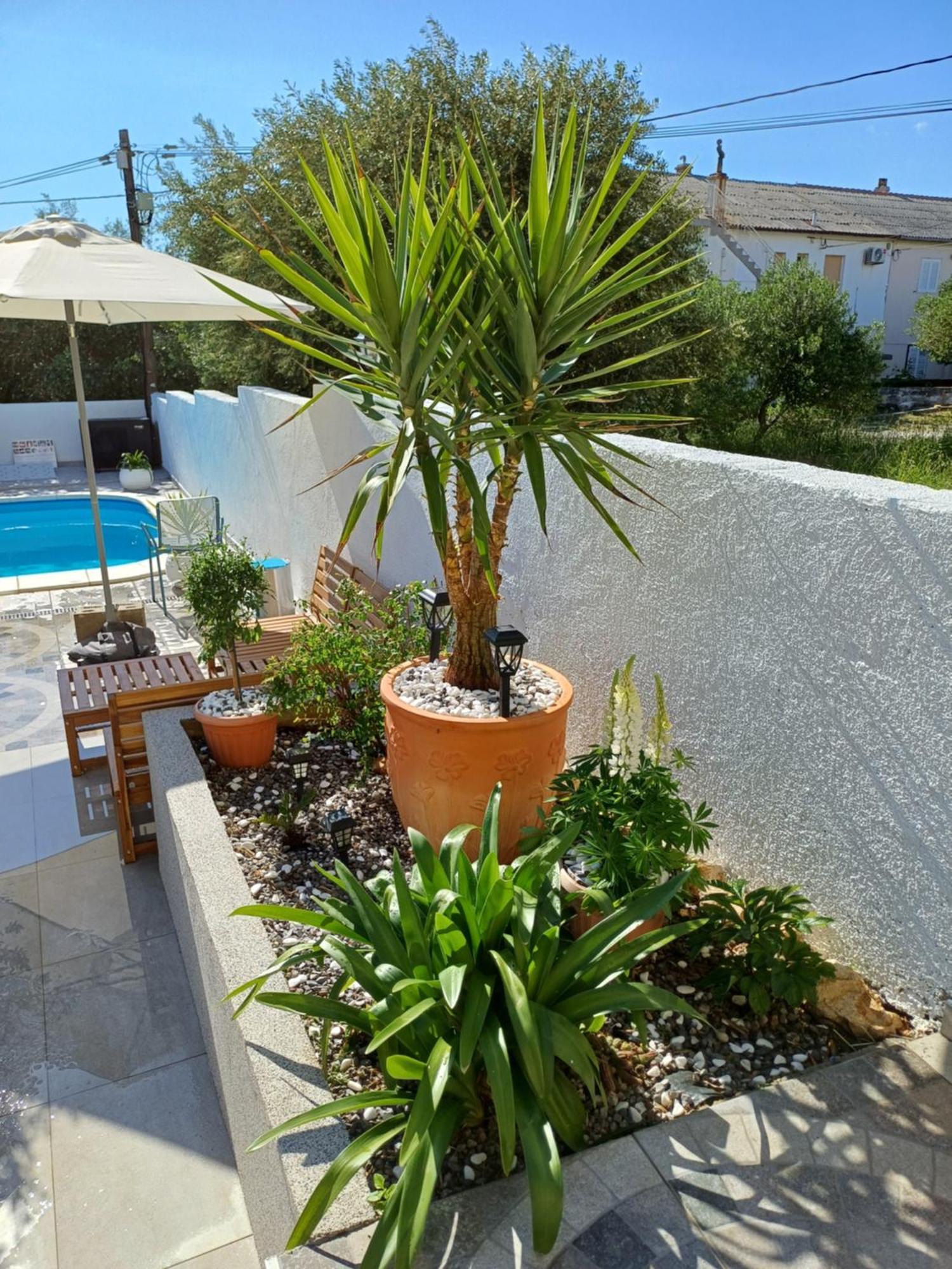 Casa Surya - Apartments With Sea View And Swimming Pool Barbat na Rabu Zewnętrze zdjęcie