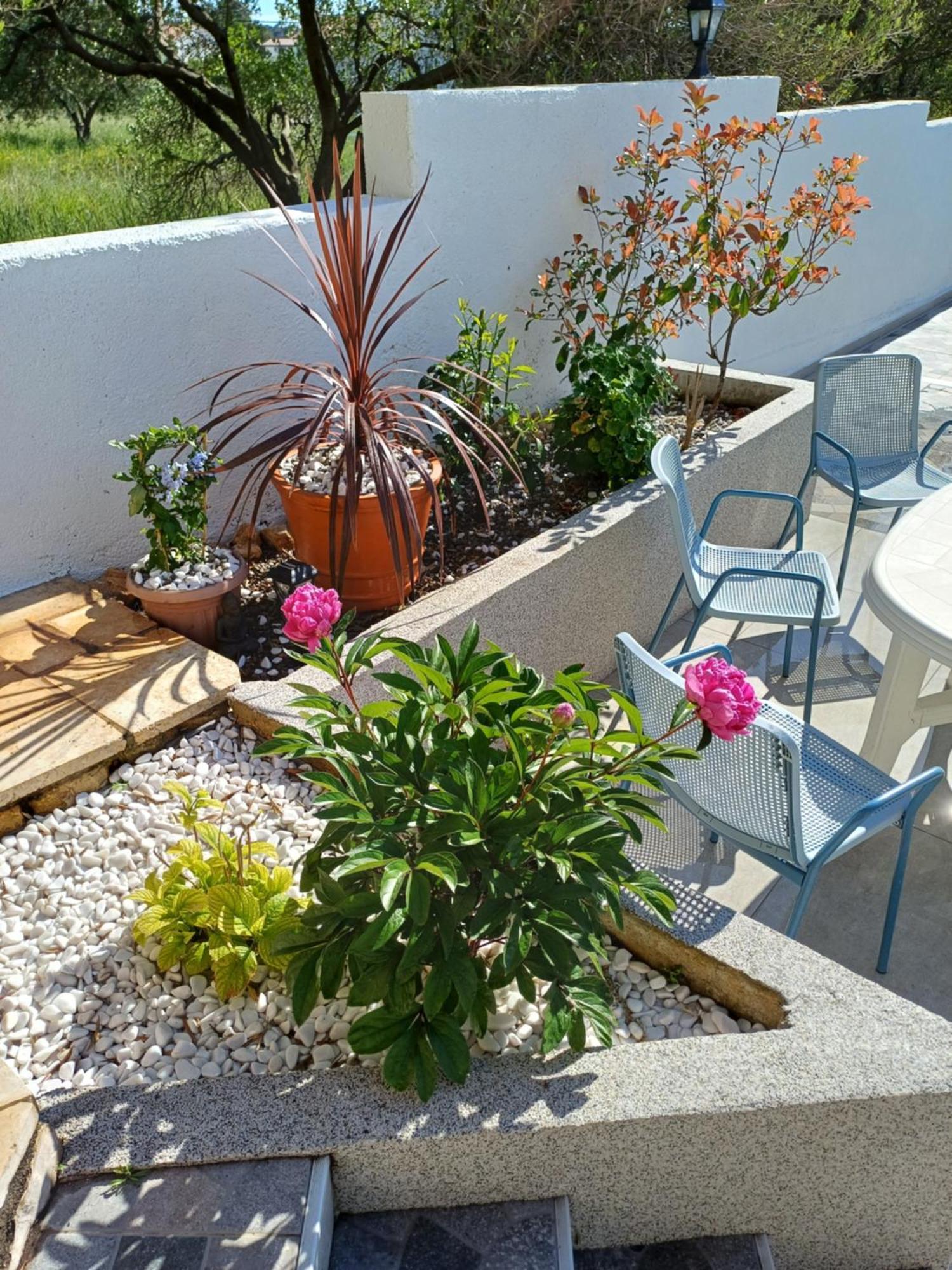 Casa Surya - Apartments With Sea View And Swimming Pool Barbat na Rabu Zewnętrze zdjęcie